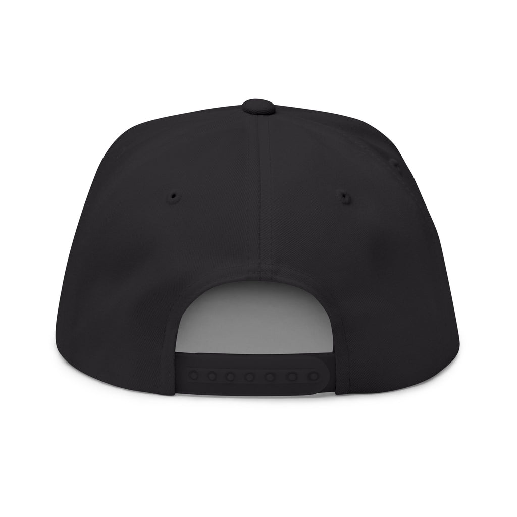 "Hear me out." Dark Flat Hat