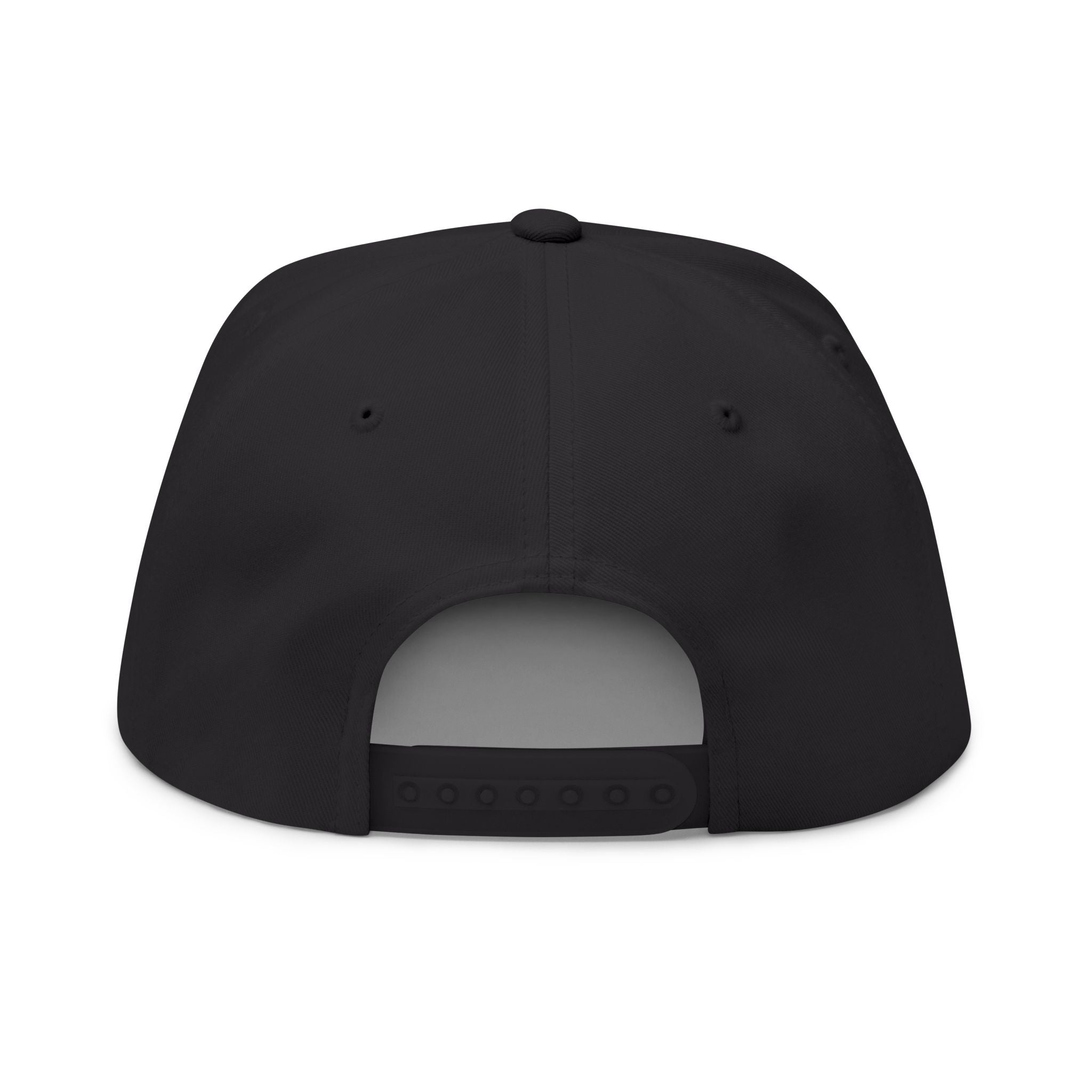 "Hear me out." Dark Flat Hat