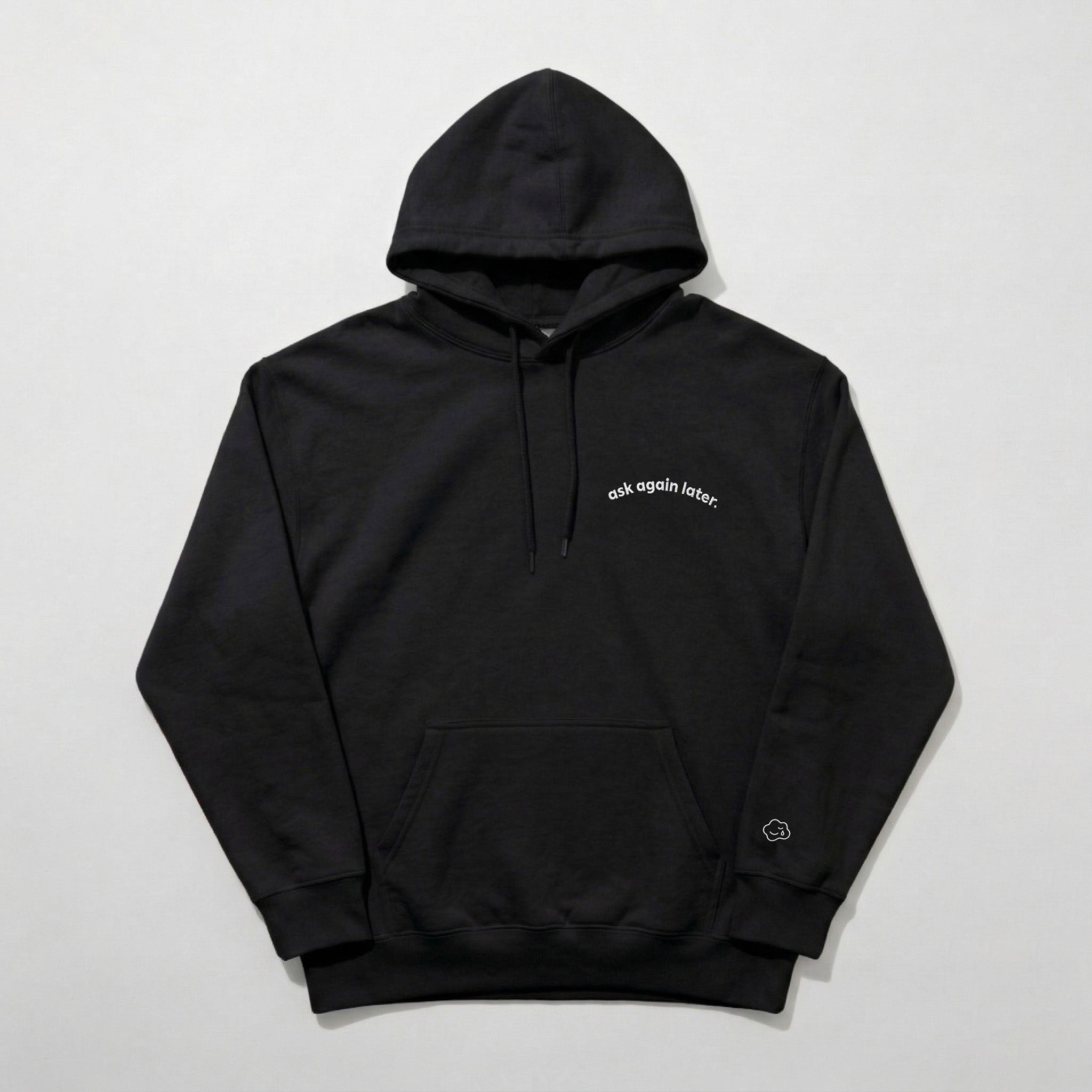 ask again later. hoodie.