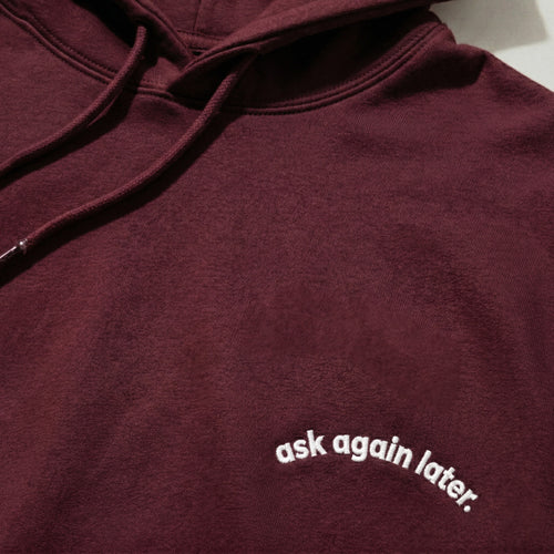 ask again later. hoodie.